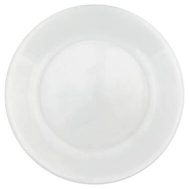 Winter hotsell dinner plates